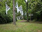 20200523-schaum-fahnenflucht.jpg
