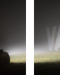 Value II, Leuchtkästen, 2019