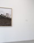 Surrogat 1+2, Fotografie, Objekt, 2013.